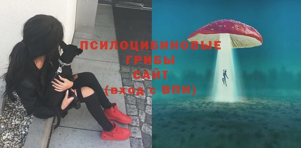 крисы Абаза