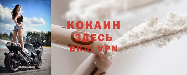 крисы Абаза