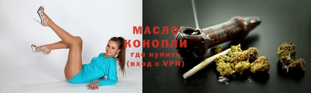 крисы Абаза