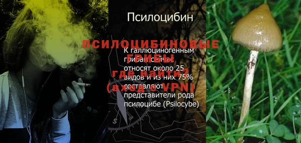 соль ск Алзамай