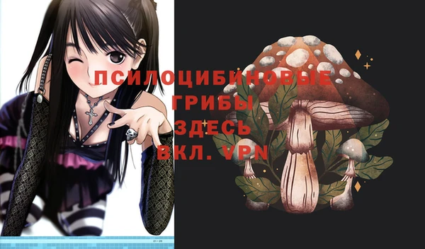 соль ск Алзамай
