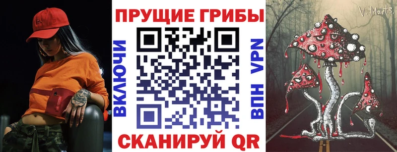 площадка какой сайт  Кяхта  Галлюциногенные грибы Magic Shrooms  kraken как зайти 